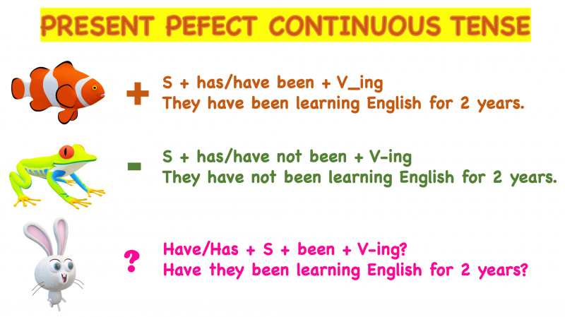 Thành thạo thì hoàn thành tiếp diễn (the present perfect continuos tense)