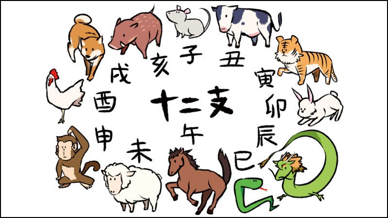 Con giáp thứ 13 Tiếng Trung là gì? Cách nói 12 con giáp trong tiếng Trung?