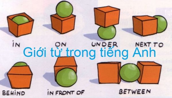 gioi-tu-trong-tieng-anh