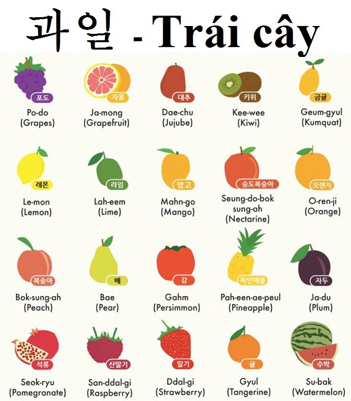 Mách bạn 100+ Từ vựng tiếng Hàn về trái cây có phiên âm
