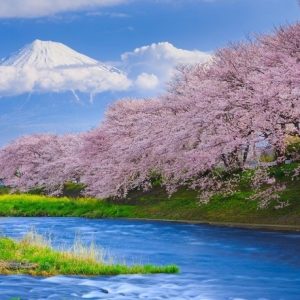 Các Mùa Trong Tiếng Nhật? Hội Thoại Tiếng Nhật Chủ đề Thời Tiết