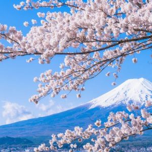 Mách Bạn Mẹo Nắm Chắc Từ Vựng Tiếng Nhật Về Thiên Nhiên